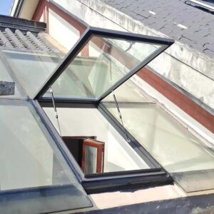 Image 1 of hand skylight review