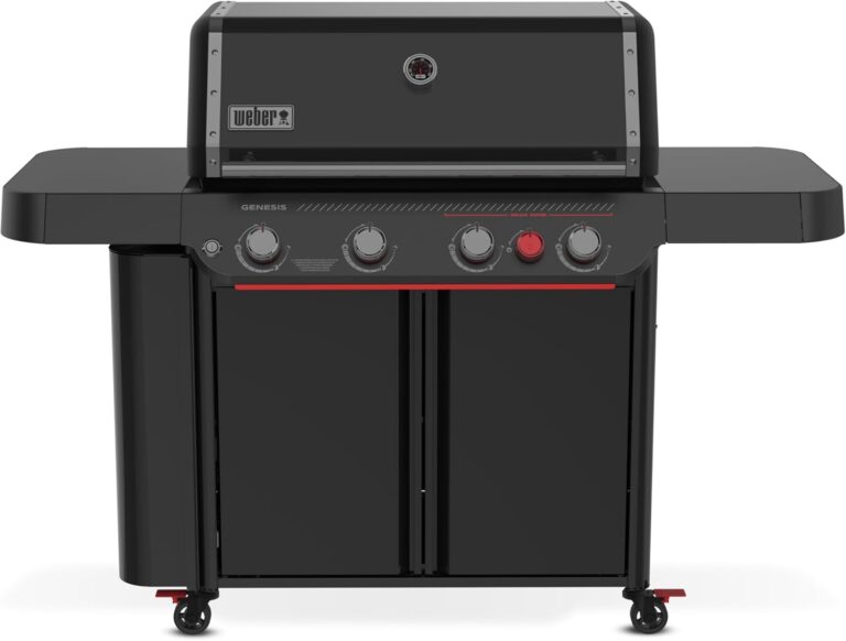 Image 1 of Weber Genesis E-430 review